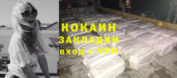 молекула духа Няндома