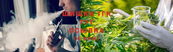 бошки Новозыбков
