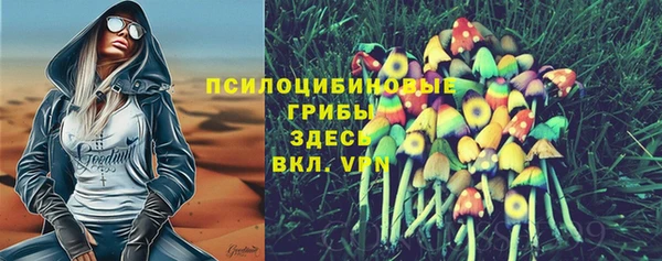 бошки Новозыбков
