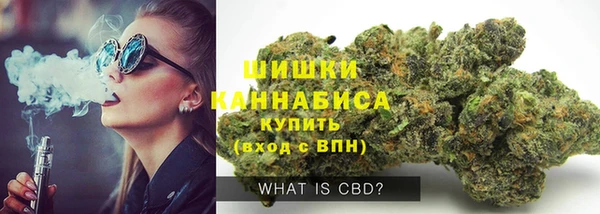 бошки Новозыбков