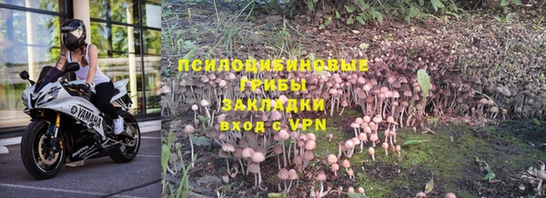 таблы Билибино