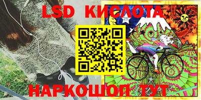 тгк Гусев