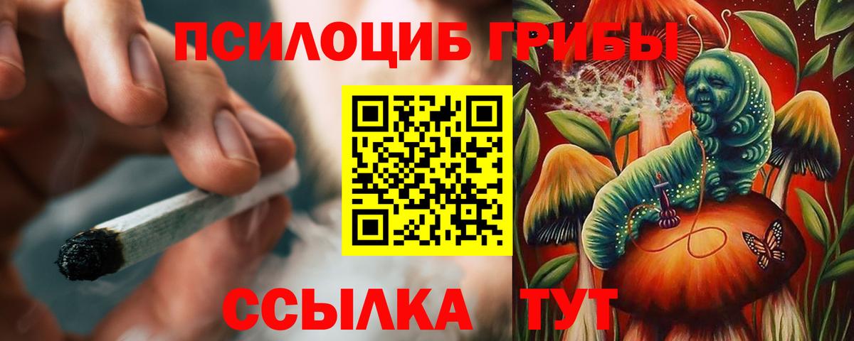 Псилоцибиновые грибы Psilocybe Энгельс