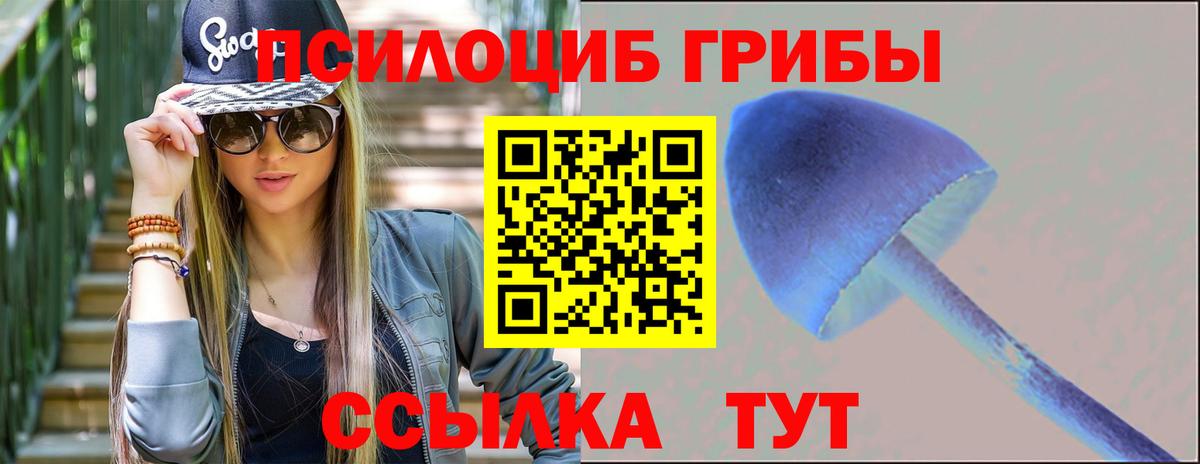 Галлюциногенные грибы Cubensis  Галлюциногенные грибы Magic Shrooms  Вход с VPN  Энгельс 